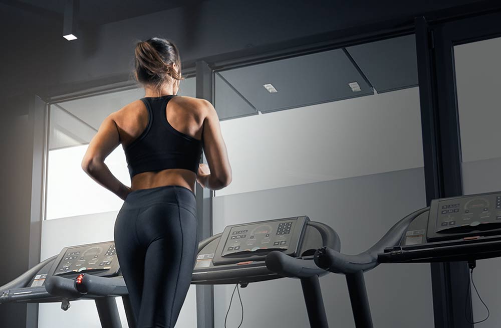 Gym Training – Transform Your Fitness Journey (Demo)